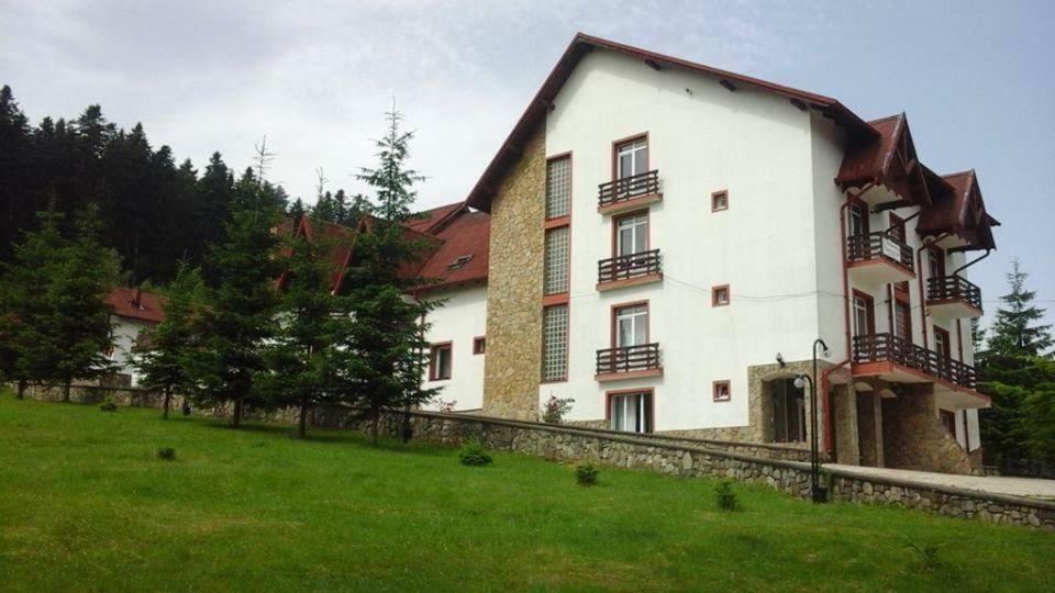 Hotel Floare De Colt Manastirea Humorului Exterior photo